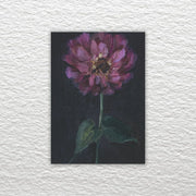 âFleeting Bloomâ (Framed)